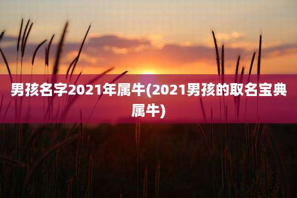 男孩名字2021年属牛(2021男孩的取名宝典属牛)