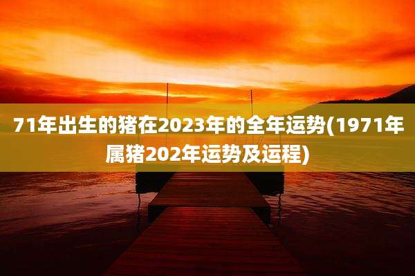 71年出生的猪在2023年的全年运势(1971年属猪202年运势及运程)