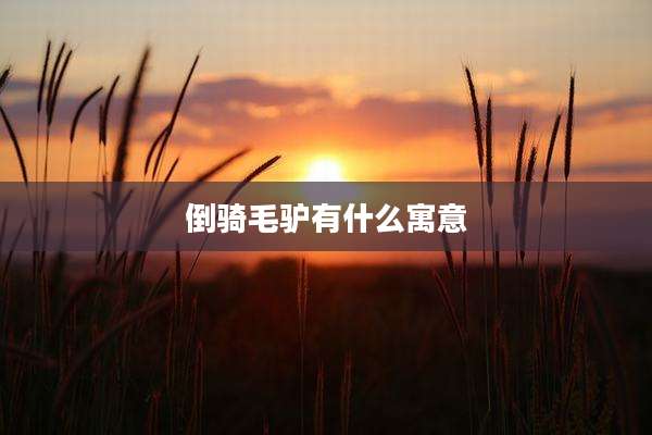 倒骑毛驴有什么寓意