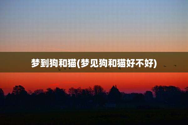 梦到狗和猫(梦见狗和猫好不好)