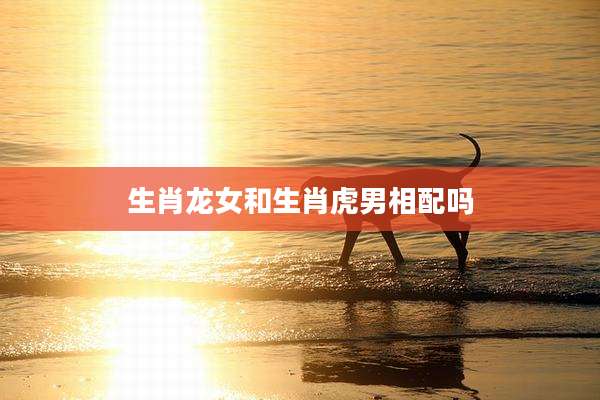 生肖龙女和生肖虎男相配吗