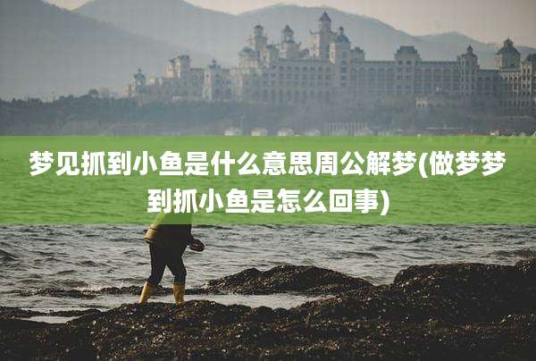 梦见抓到小鱼是什么意思周公解梦(做梦梦到抓小鱼是怎么回事)