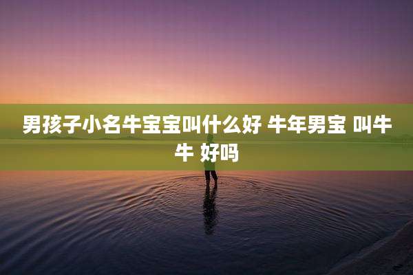 男孩子小名牛宝宝叫什么好 牛年男宝 叫牛牛 好吗