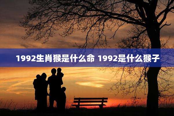 1992生肖猴是什么命 1992是什么猴子