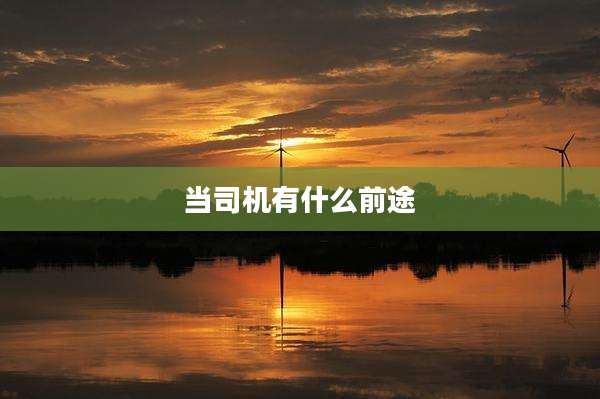当司机有什么前途