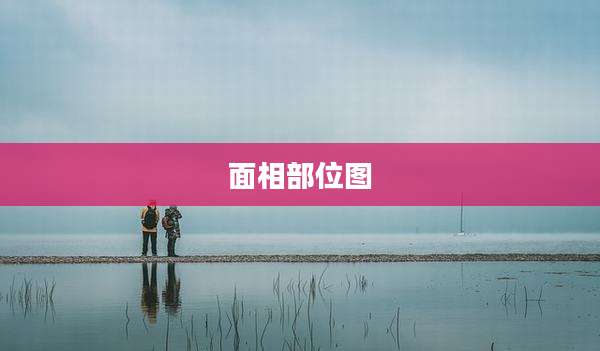 面相部位图