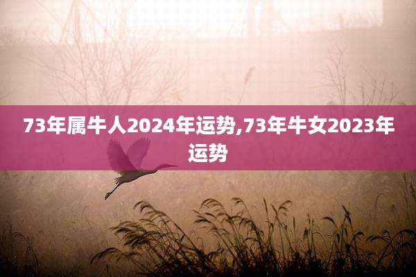 73年属牛人2024年运势,73年牛女2023年运势