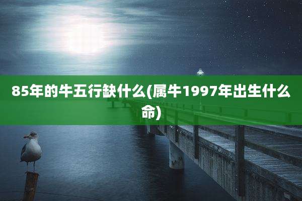 85年的牛五行缺什么(属牛1997年出生什么命)