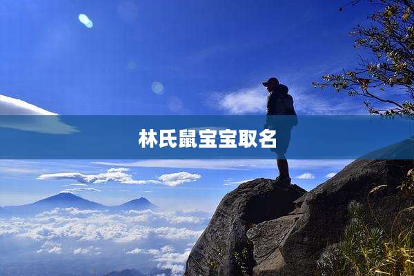 林氏鼠宝宝取名