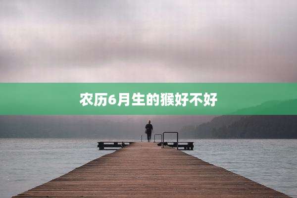 农历6月生的猴好不好