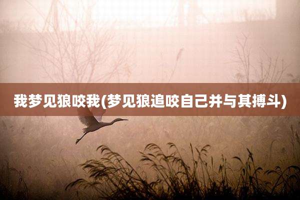 我梦见狼咬我(梦见狼追咬自己并与其搏斗)