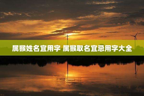 属猴姓名宜用字 属猴取名宜忌用字大全