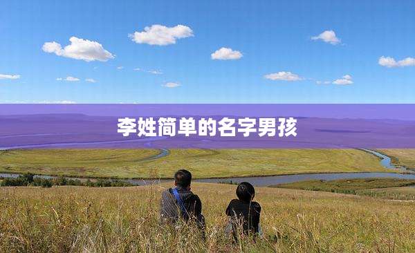 李姓简单的名字男孩