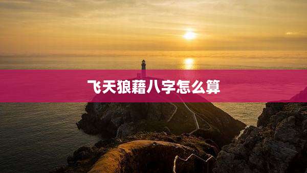 飞天狼藉八字怎么算