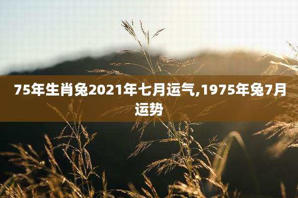75年生肖兔2021年七月运气,1975年兔7月运势