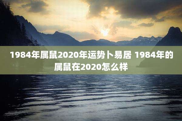 1984年属鼠2020年运势卜易居 1984年的属鼠在2020怎么样