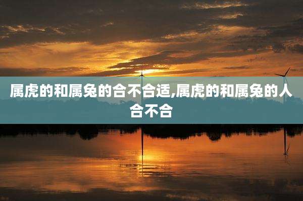 属虎的和属兔的合不合适,属虎的和属兔的人合不合