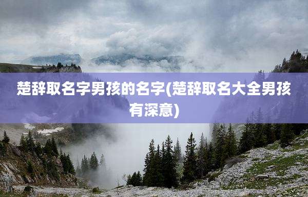 楚辞取名字男孩的名字(楚辞取名大全男孩有深意)
