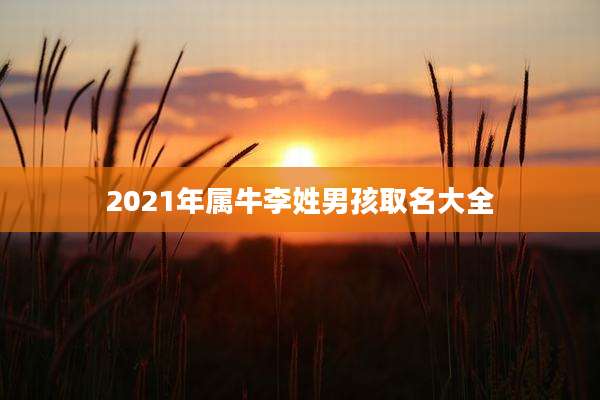 2021年属牛李姓男孩取名大全