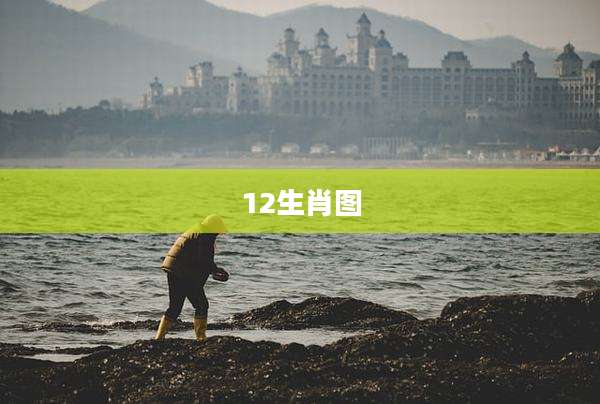 12生肖图