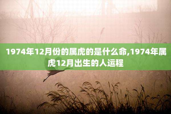 1974年12月份的属虎的是什么命,1974年属虎12月出生的人运程