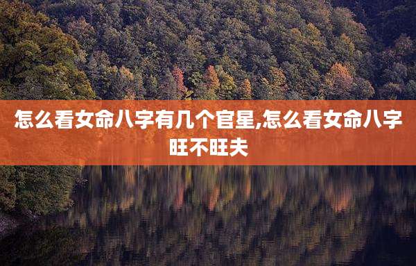怎么看女命八字有几个官星,怎么看女命八字旺不旺夫
