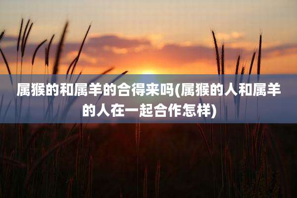 属猴的和属羊的合得来吗(属猴的人和属羊的人在一起合作怎样)
