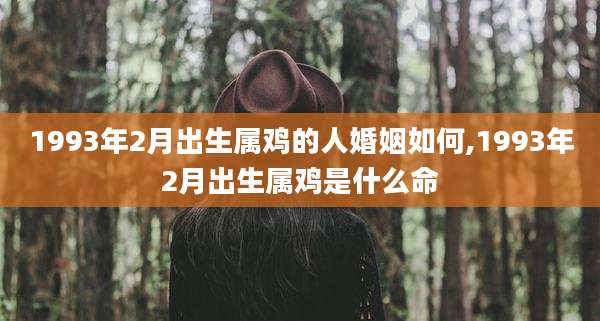 1993年2月出生属鸡的人婚姻如何,1993年2月出生属鸡是什么命