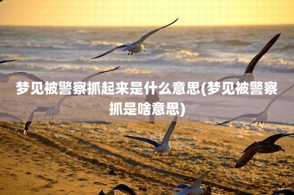 梦见被警察抓起来是什么意思(梦见被警察抓是啥意思)
