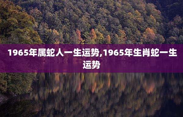 1965年属蛇人一生运势,1965年生肖蛇一生运势