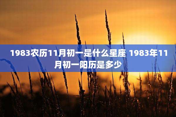 1983农历11月初一是什么星座 1983年11月初一阳历是多少