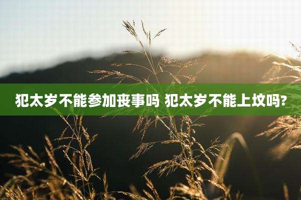 犯太岁不能参加丧事吗 犯太岁不能上坟吗?