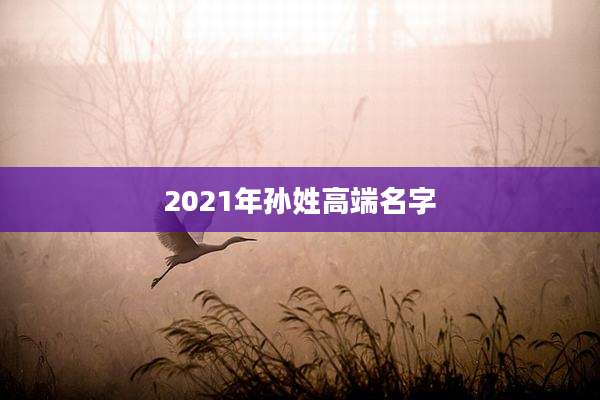 2021年孙姓高端名字
