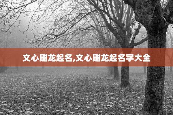 文心雕龙起名,文心雕龙起名字大全