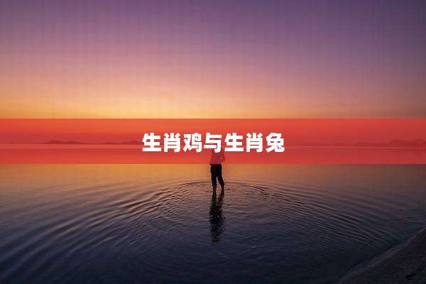 生肖鸡与生肖兔