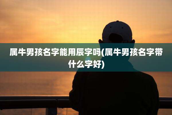 属牛男孩名字能用辰字吗(属牛男孩名字带什么字好)
