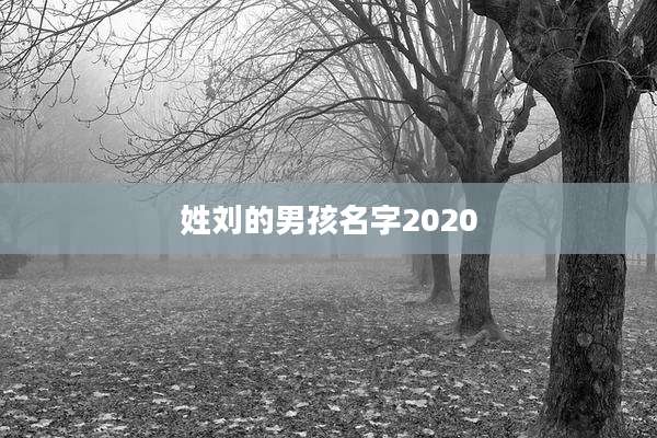 姓刘的男孩名字2020