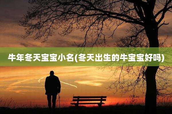 牛年冬天宝宝小名(冬天出生的牛宝宝好吗)