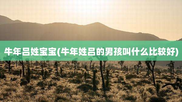 牛年吕姓宝宝(牛年姓吕的男孩叫什么比较好)