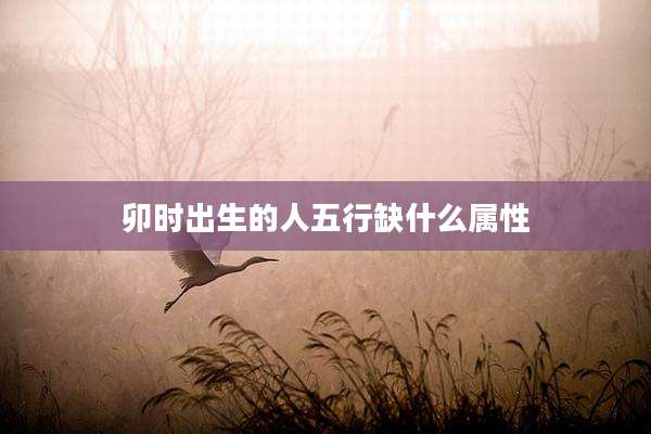 卯时出生的人五行缺什么属性