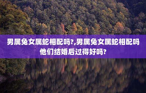 男属兔女属蛇相配吗?,男属兔女属蛇相配吗他们结婚后过得好吗?