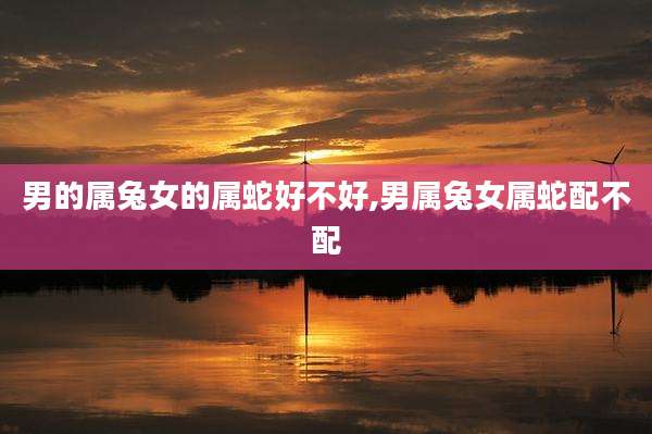 男的属兔女的属蛇好不好,男属兔女属蛇配不配
