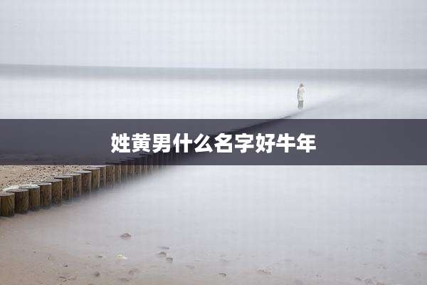 姓黄男什么名字好牛年
