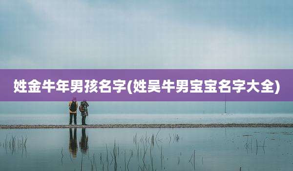 姓金牛年男孩名字(姓吴牛男宝宝名字大全)