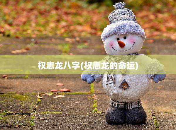 权志龙八字(权志龙的命运)