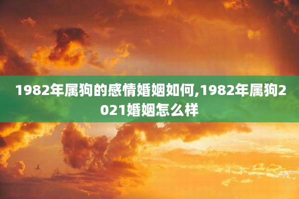 1982年属狗的感情婚姻如何,1982年属狗2021婚姻怎么样