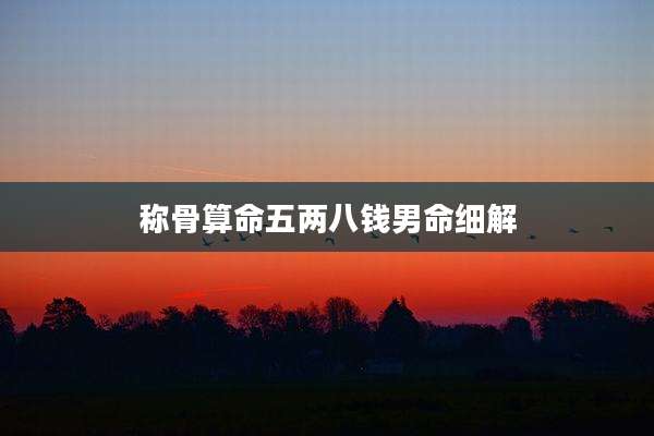 称骨算命五两八钱男命细解