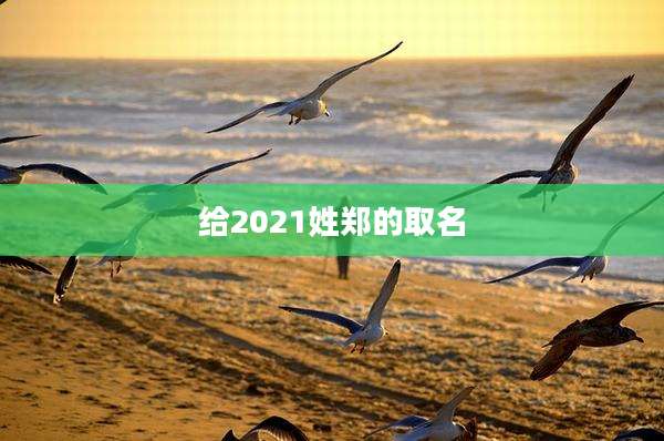 给2021姓郑的取名