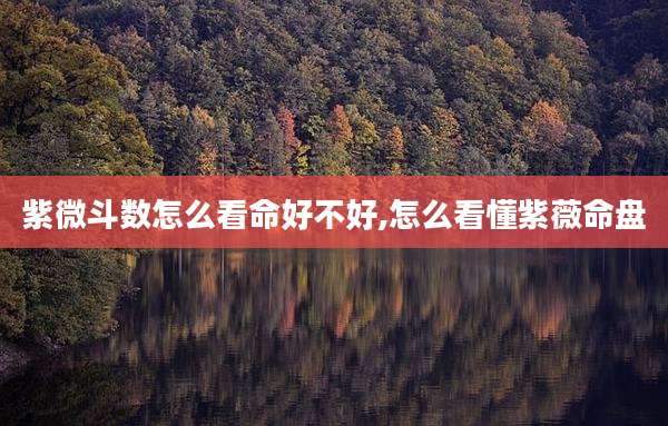 紫微斗数怎么看命好不好,怎么看懂紫薇命盘