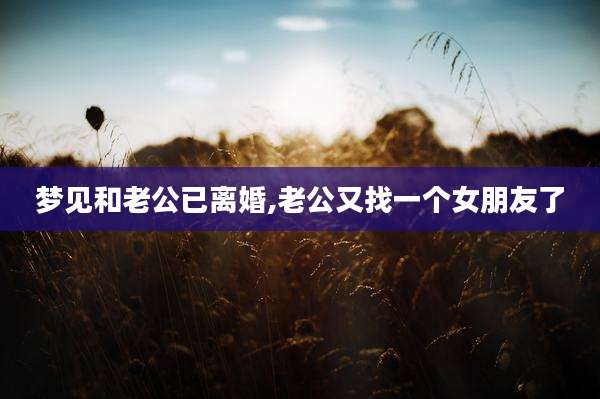 梦见和老公已离婚,老公又找一个女朋友了